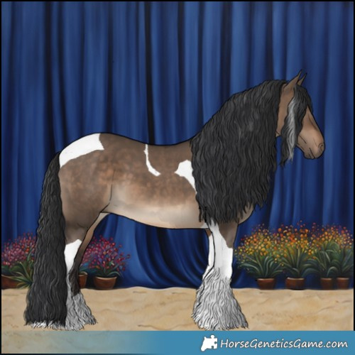 Horse Color:Brown Dun Tobiano 