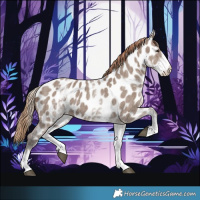 Horse Color:White Spotted Liver Red Dun Sabino Near Leopard 