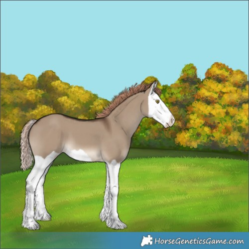 Horse Color:Liver Red Dun Splash Varnish 