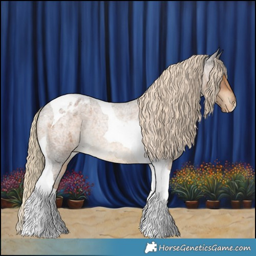 Horse Color:Chocolate Palomino Roan Tobiano Varnish Rabicano 
