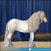 Horse Color:Chocolate Palomino Roan Tobiano Varnish Rabicano 