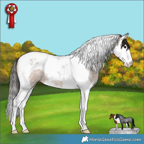 Horse Color:Bay Roan Dun Splash Tobiano 