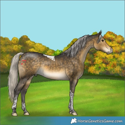 Horse Color:Silver Buckskin Tobiano 