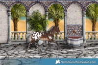 Horse Color:White Spotted Silver Brown Appaloosa 