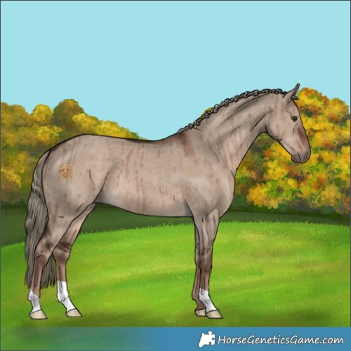 Horse Color:Liver Red Dun Mushroom Brindle