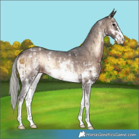 Horse Color:Silver Brown Onyx Sabino Varnish 