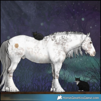 Horse Color:White Spotted Liver Chestnut Ice Appaloosa 