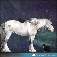 Horse Color:White Spotted Liver Chestnut Ice Appaloosa 