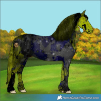 Horse Color:ERROR: UNKNOWN ANOMALY