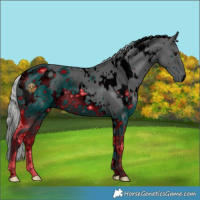 Horse Color:ERROR: UNKNOWN ANOMALY