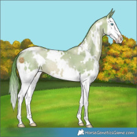 Horse Color:Watercolor White Spotted Liver Red Dun Pearl Splash 