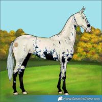 Horse Color:Watercolor Gold Champagne Dun Mushroom Sabino 