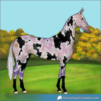 Horse Color:Watercolor White Spotted Silver Brown Dun