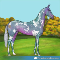 Horse Color:Watercolor White Spotted Silver Brown 