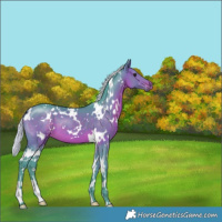 Horse Color:Watercolor White Spotted Silver Brown 