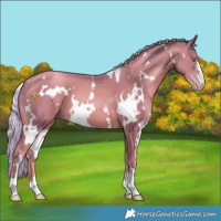 Horse Color:Watercolor White Spotted Gold Champagne Mushroom 