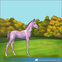 Horse Color:Watercolor White Spotted Brown 