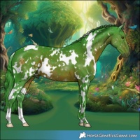Horse Color:Watercolor White Spotted Liver Chestnut