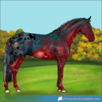 Horse Color:ERROR: UNKNOWN ANOMALY