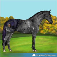 Horse Color:ERROR: UNKNOWN ANOMALY