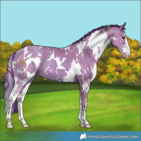 Horse Color:Watercolor White Spotted Classic Champagne 