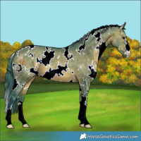 Horse Color:Watercolor White Spotted Brown Dun 