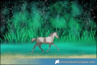 Horse Color:Silver Black Tobiano 