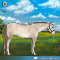 Horse Color:White Spotted Smoky Black Pearl Tobiano Rabicano 