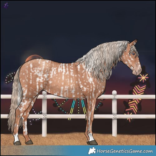Horse Color:Liver Chestnut Chinchilla  and Gold Champagne 