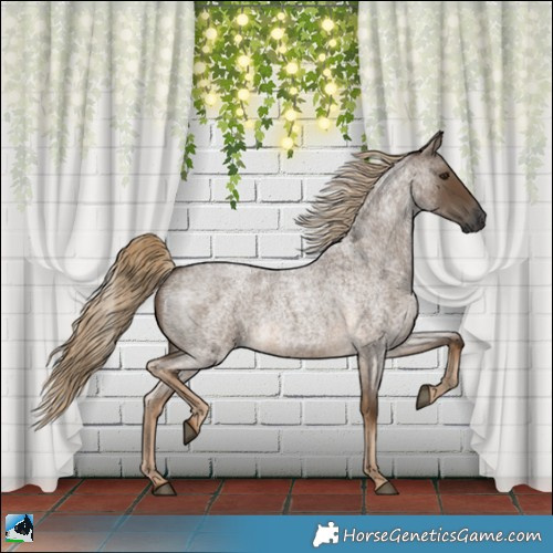 Horse Color:Gray Chocolate Palomino Roan