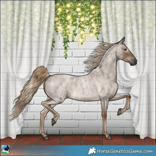 Horse Color:Gray Chocolate Palomino Roan 