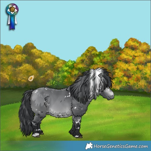Horse Color:White Spotted Bay Chinchilla 