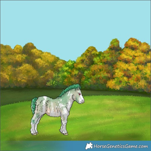 Horse Color:Watercolor White Spotted Bay Chinchilla 