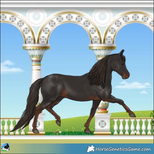 Horse Color:White Spotted Liver Chestnut 