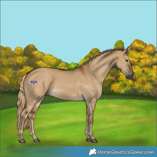Horse Color:Gray Chocolate Palomino Dun 