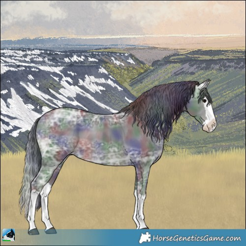 Horse Color:Nacre Black Ice Splash