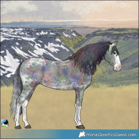 Horse Color:Nacre Black Ice Splash 