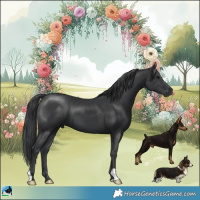 Horse Color:Black Mushroom 