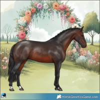 Horse Color:Brown Rabicano 