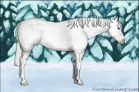 Horse Color:White Spotted Perlino Splash Tobiano Near Leopard