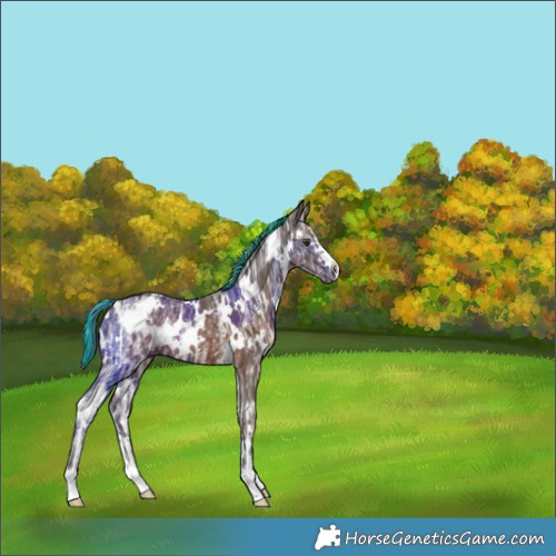 Horse Color:Painted White Spotted Liver Chestnut Ice 