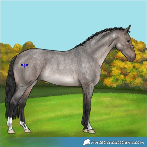 Horse Color:Brown Roan Dun Rabicano 