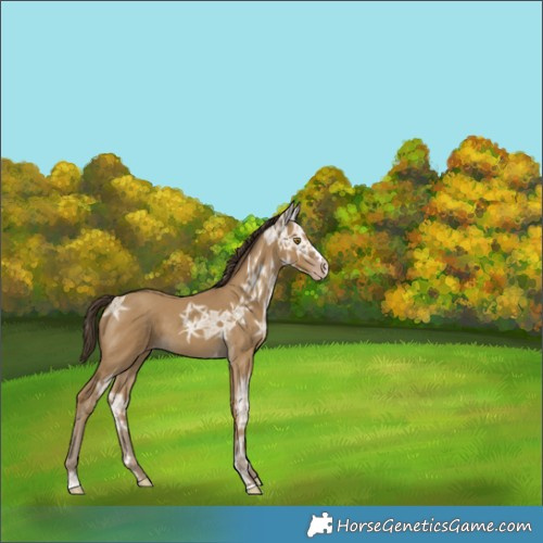 Horse Color:Classic Cream Champagne Ice 