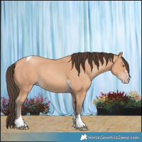 Horse Color:Amber Champagne Tobiano 