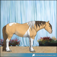 Horse Color:Amber Cream Champagne Tobiano 