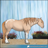 Horse Color:Gold Champagne Tobiano Rabicano 