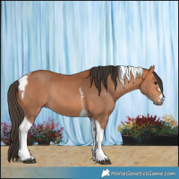 Horse Color:Bay Tobiano Rabicano 