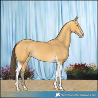 Horse Color:Amber Cream Champagne Tobiano 