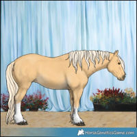 Horse Color:Palomino Tobiano 