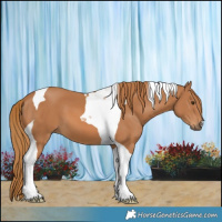 Horse Color:Chestnut Tobiano 
